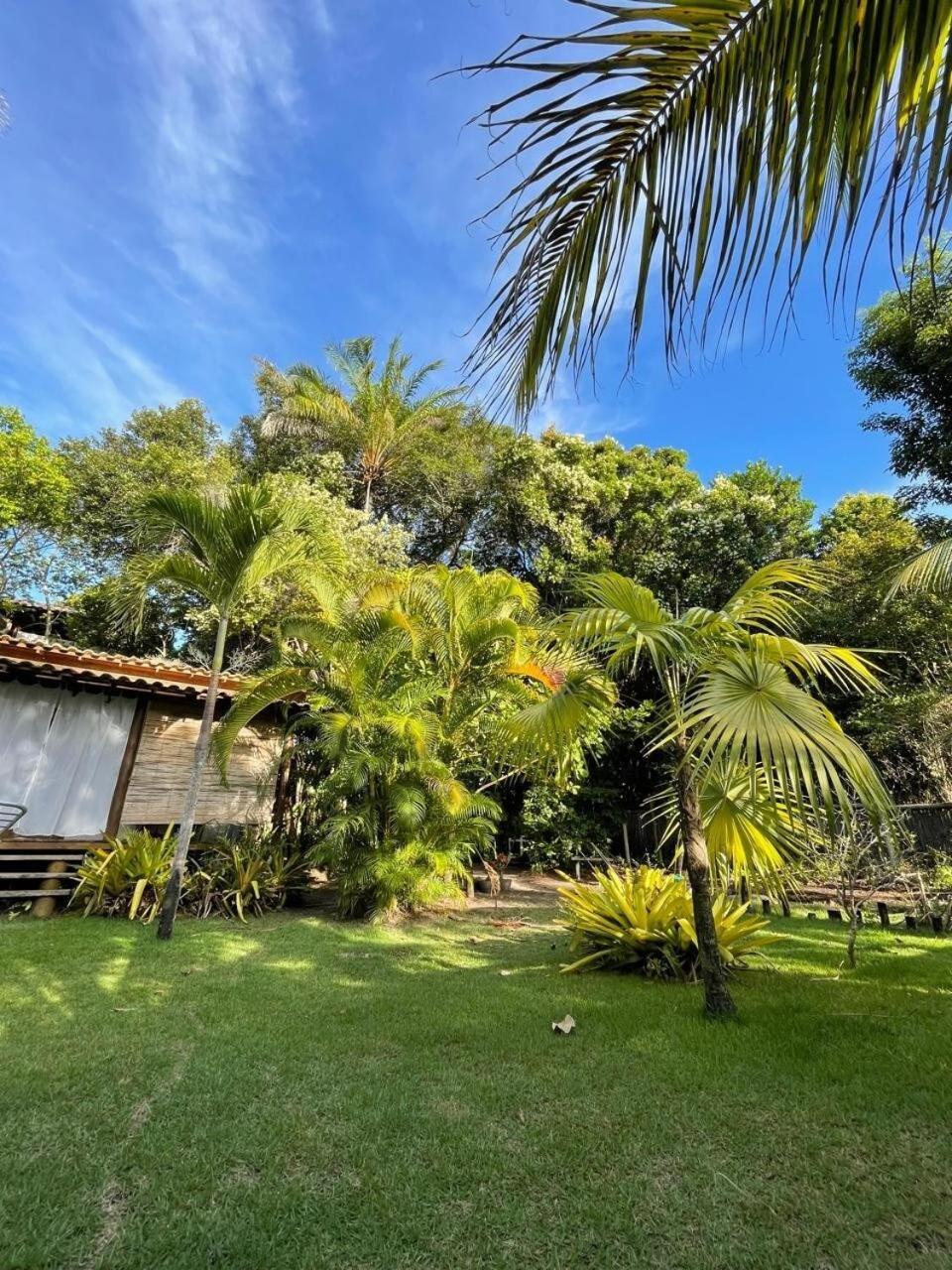 Privacidade, Sossego E Axe Em Taipu De Fora Barra Grande  Exteriér fotografie