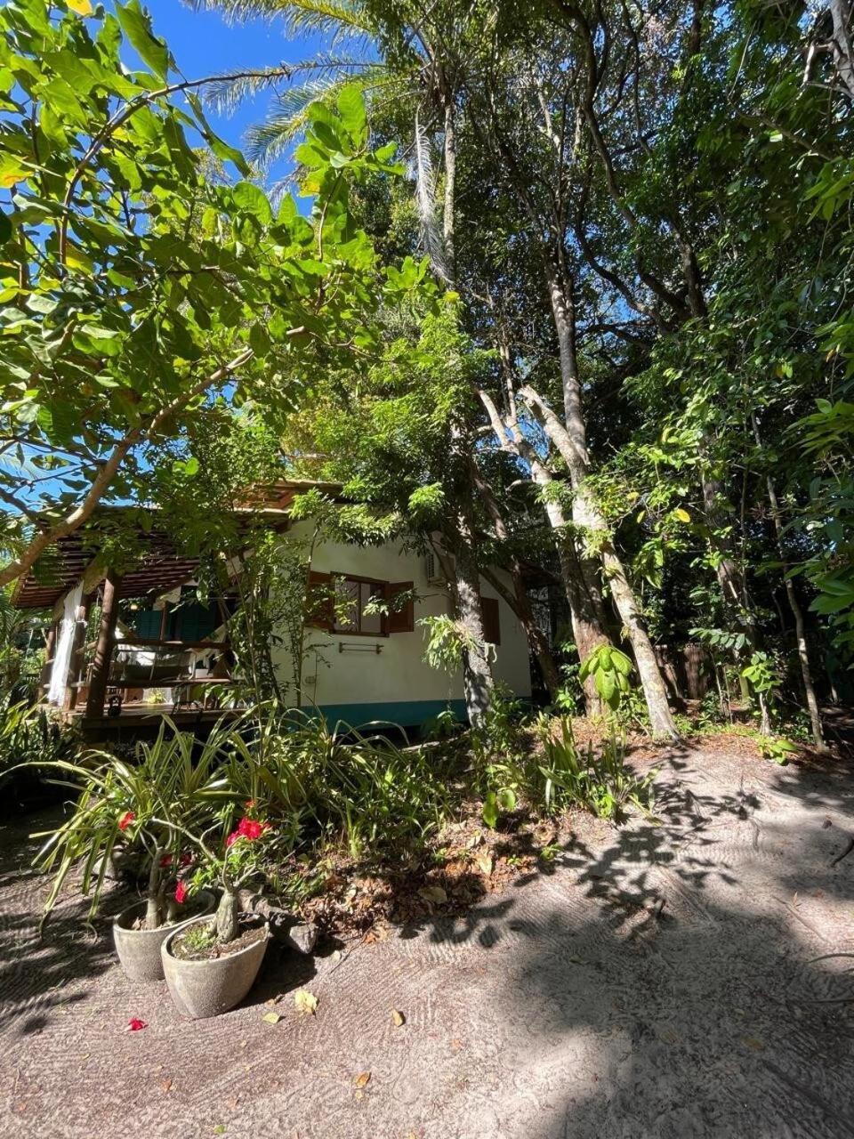 Privacidade, Sossego E Axe Em Taipu De Fora Barra Grande  Exteriér fotografie