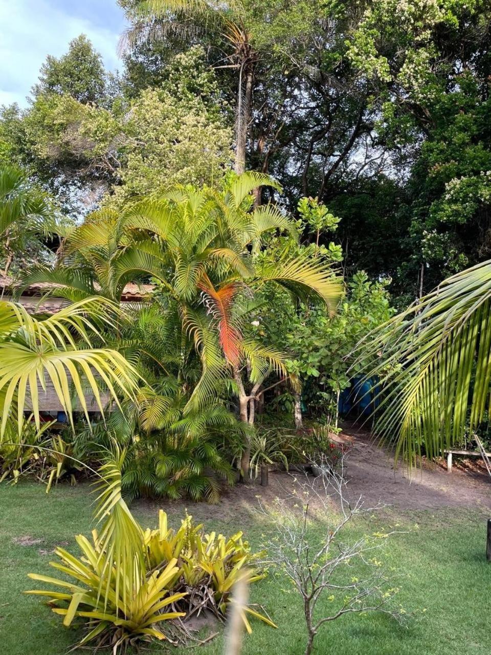 Privacidade, Sossego E Axe Em Taipu De Fora Barra Grande  Exteriér fotografie