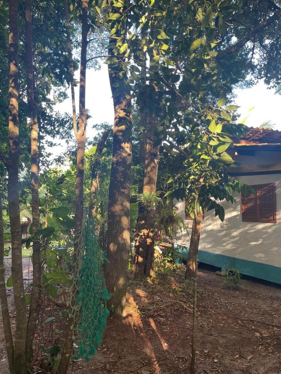 Privacidade, Sossego E Axe Em Taipu De Fora Barra Grande  Exteriér fotografie